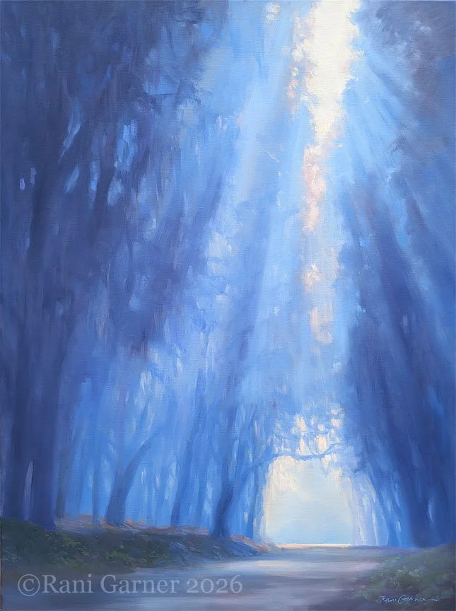 Into the Mist 40x30 $4800