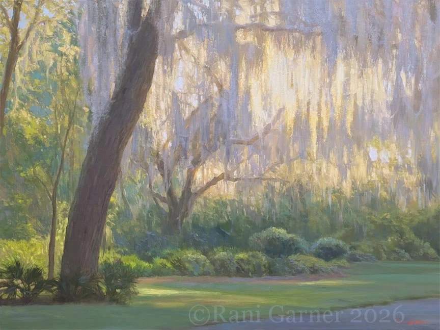 Cloaked in Light.jpg