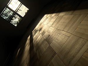 I just love this photo, the nice morning light on the freshly sanded floors. Kinda artsy. You can see how the floor is fresh, bare wood. It actually smelled very nice, like fresh cut trees; it has that pine tree smell.
