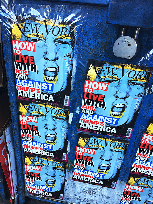 This image is self explanatory... it captures the local vibe for the time, 2 weeks after the 2016 presidential election.