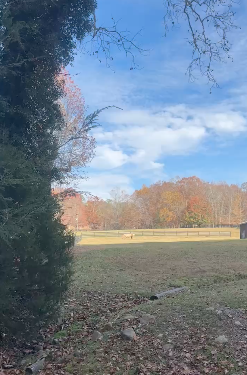 Screenshot 2025-12-30 at 12.28.57 PM.png