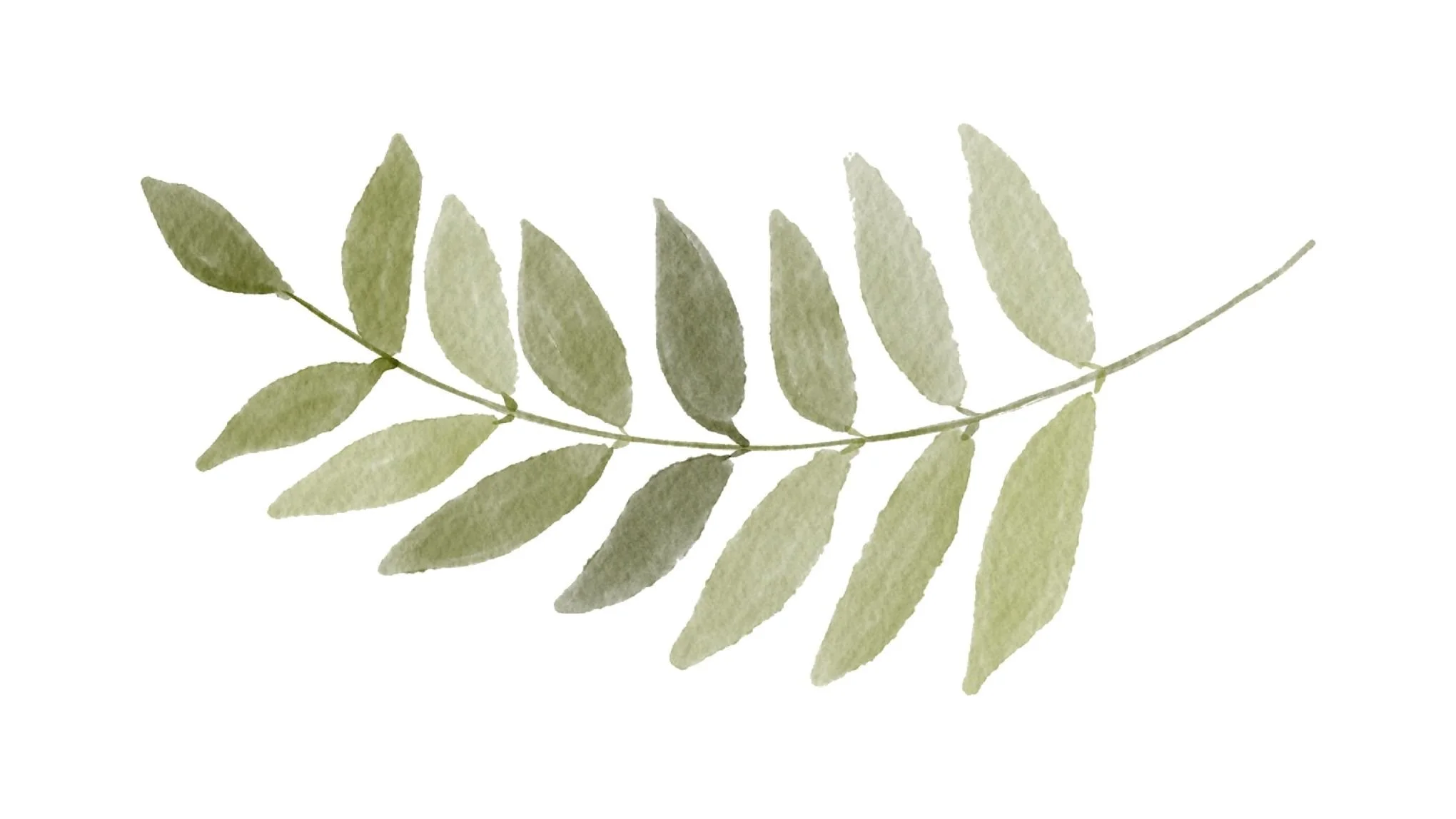 Soft Linen Photo Overlay-4.jpg