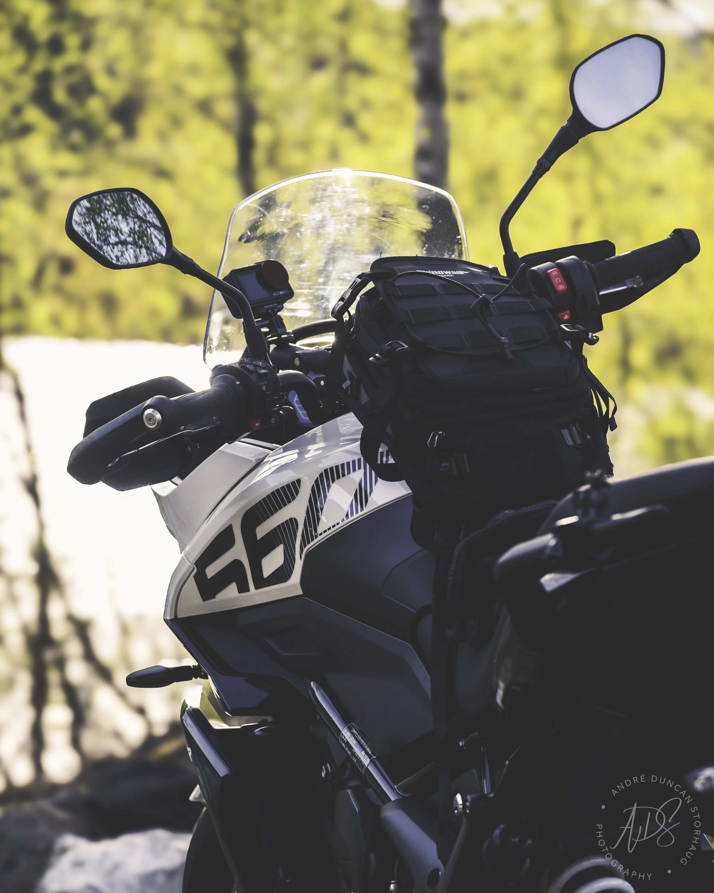 ADS_9804_Luminar4-edituntitledTigersportinsta.jpeg