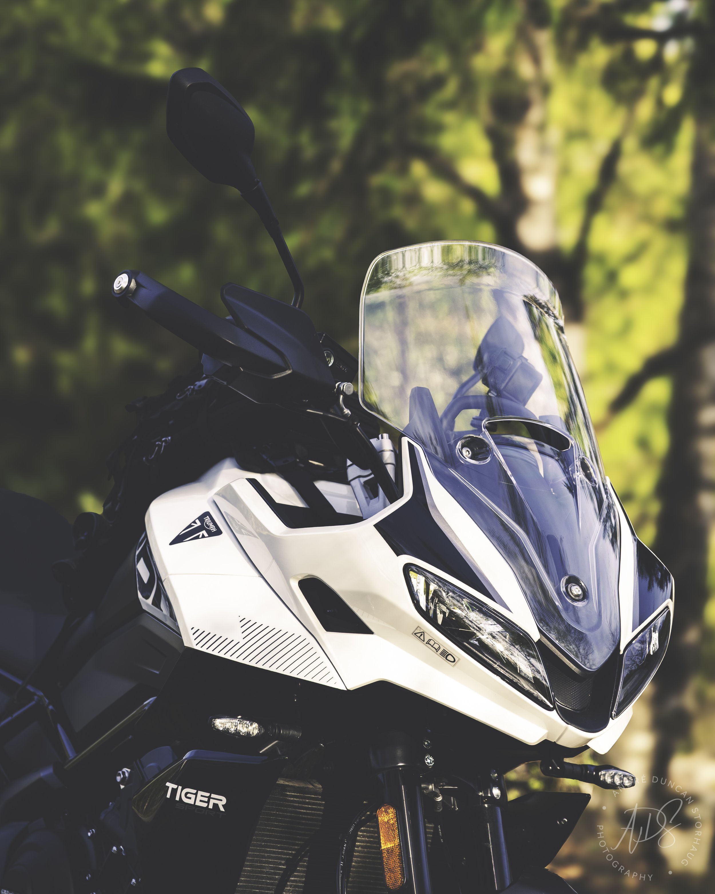 ADS_9741_Luminar4-edit_0untitledTigersportinsta.jpeg