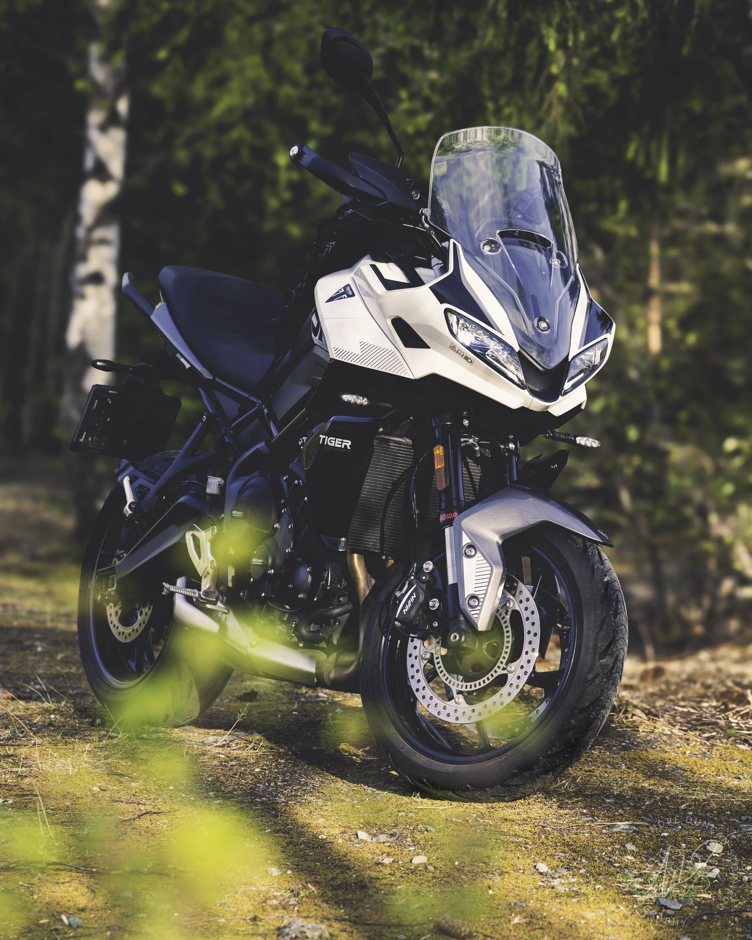 ADS_9783_Luminar4-edituntitledTigersportinsta.jpeg