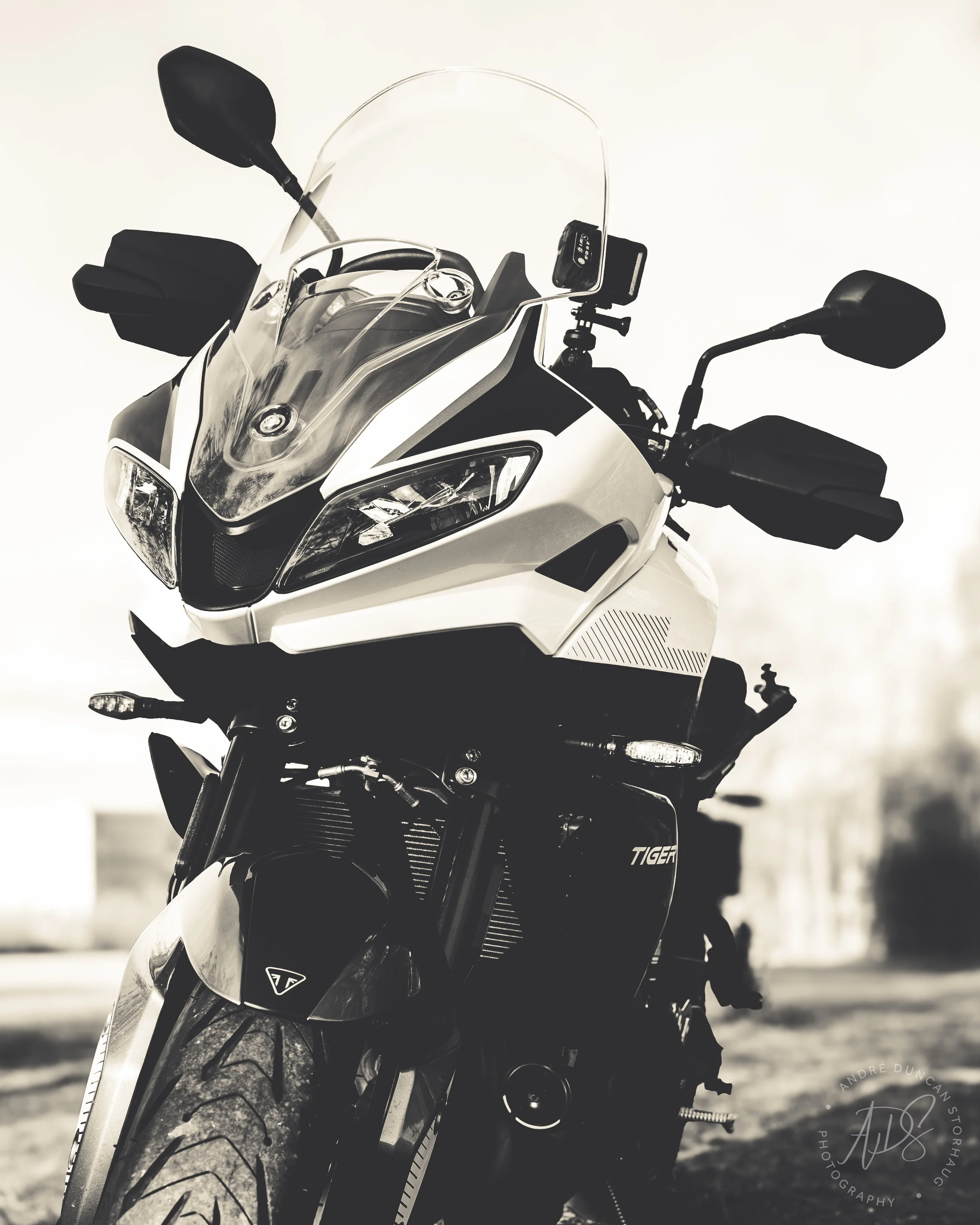 ADS_9810_Luminar4-edituntitledTigersportinsta.jpeg