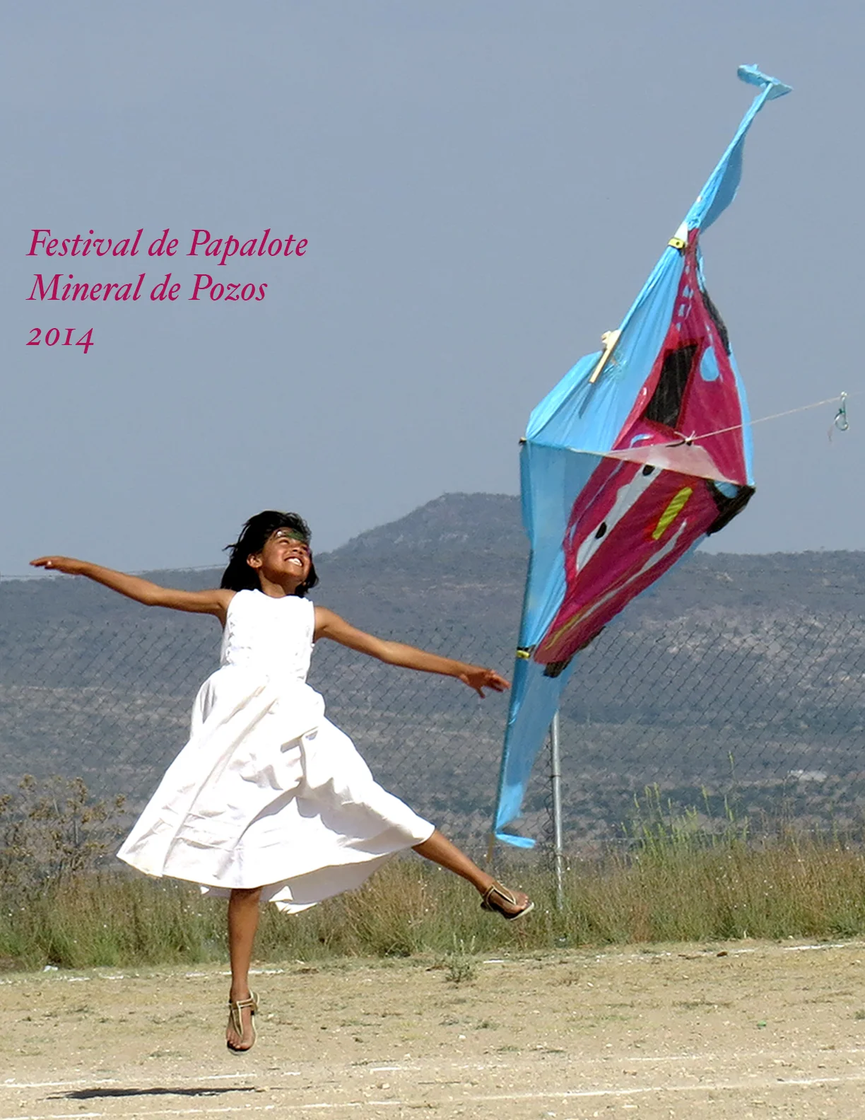 festival de papalote.jpg