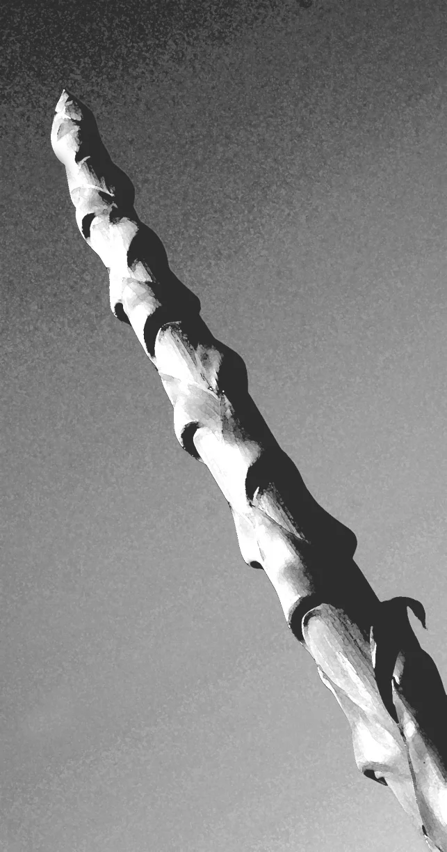 thumb_IMG_8797 duotone wc_1024.jpg