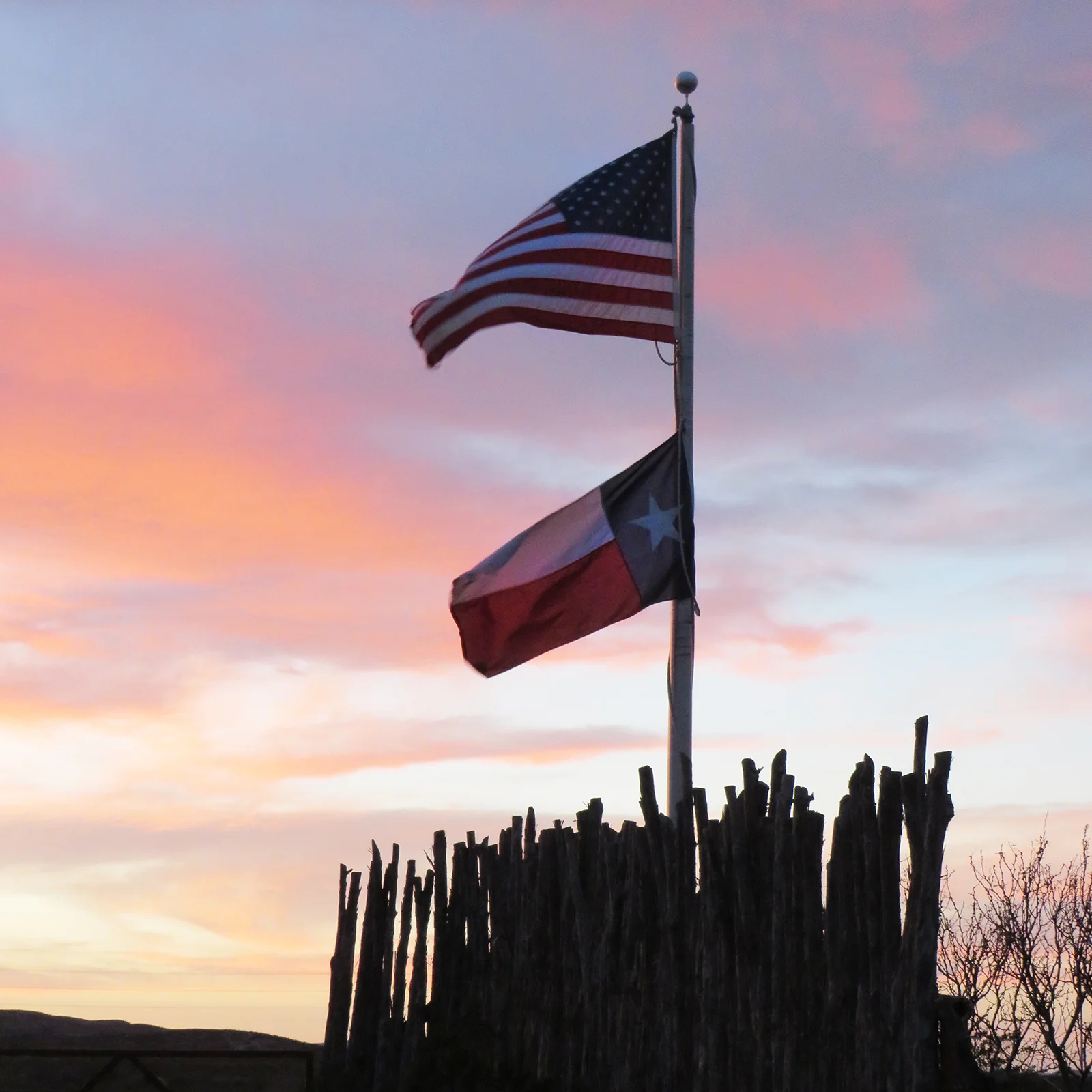 IMG_0383 two flags.jpg