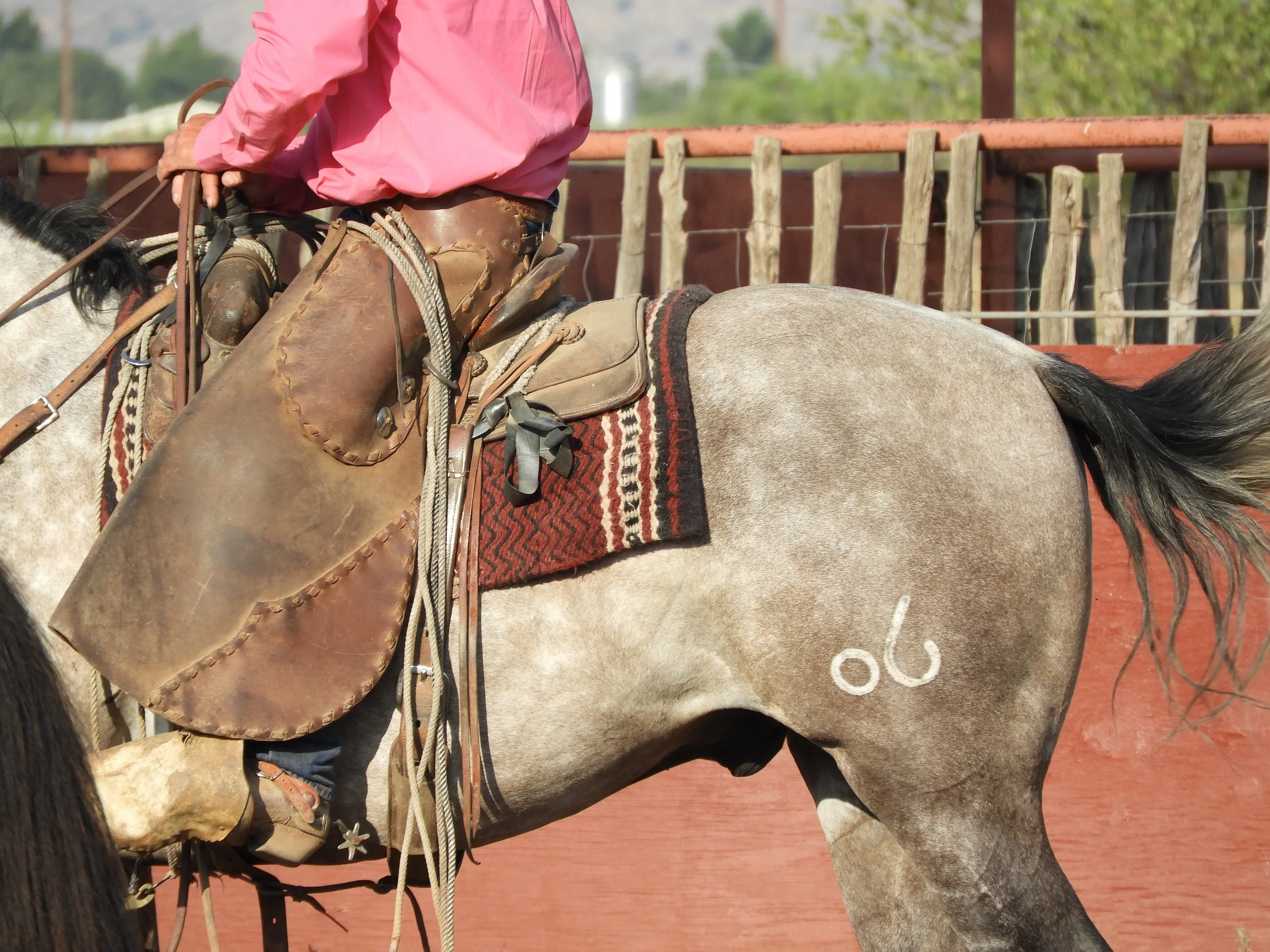 DSCN7046.jpg