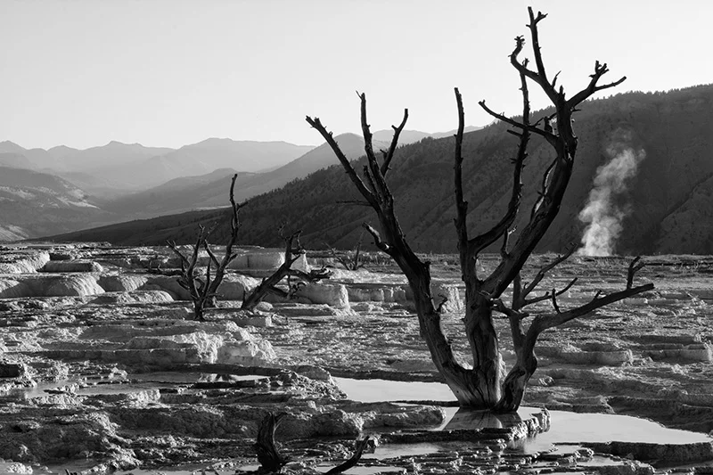 Yellowstone Landscape Photography (Copy)