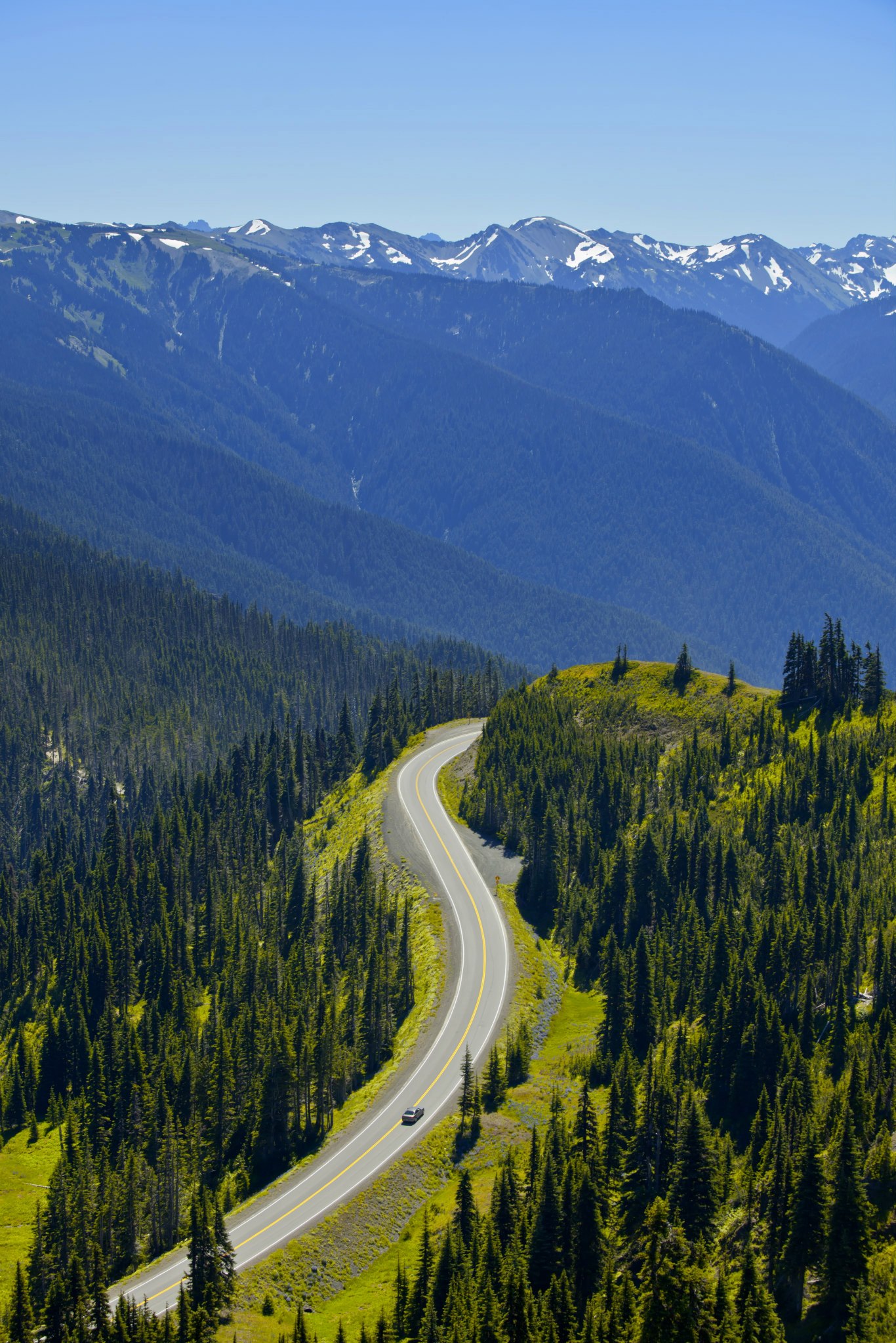 Olympic Peninsula Landscape Photography - Olympic National Park Hurricane Ridge