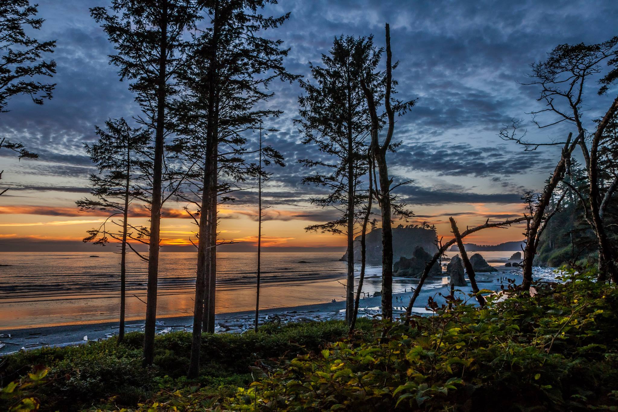 Olympic Peninsula Landscape Photography - Ruby Beach