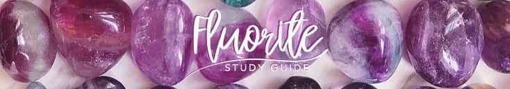 study guide title.jpg