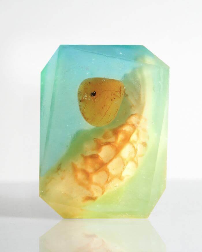 Pisces_ab697798-6844-4a6f-8adb-4ed9d9ecaa78_700x.jpg