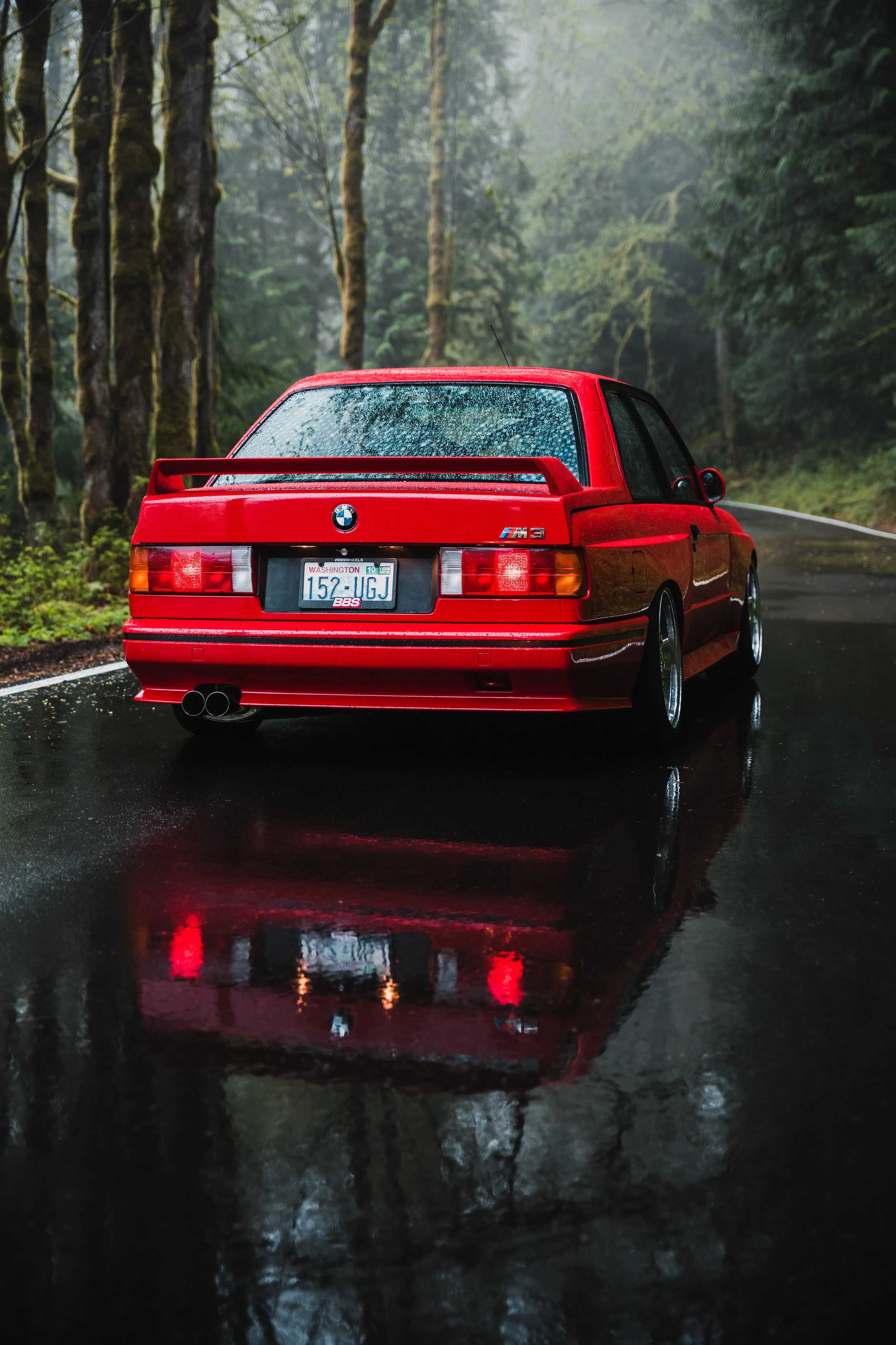 PPIK6374-Edit.jpg