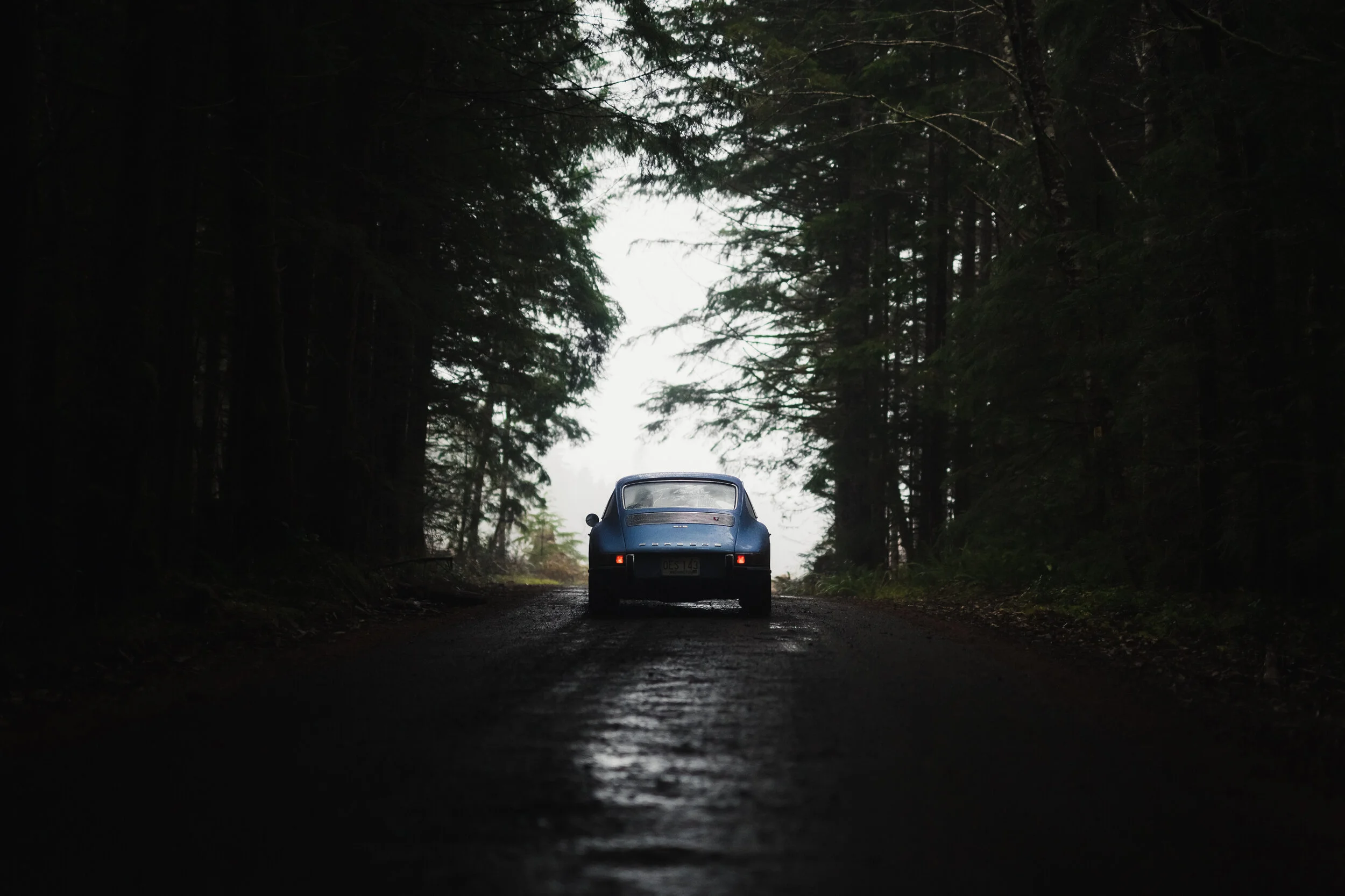 PPIK9534-Edit.JPG