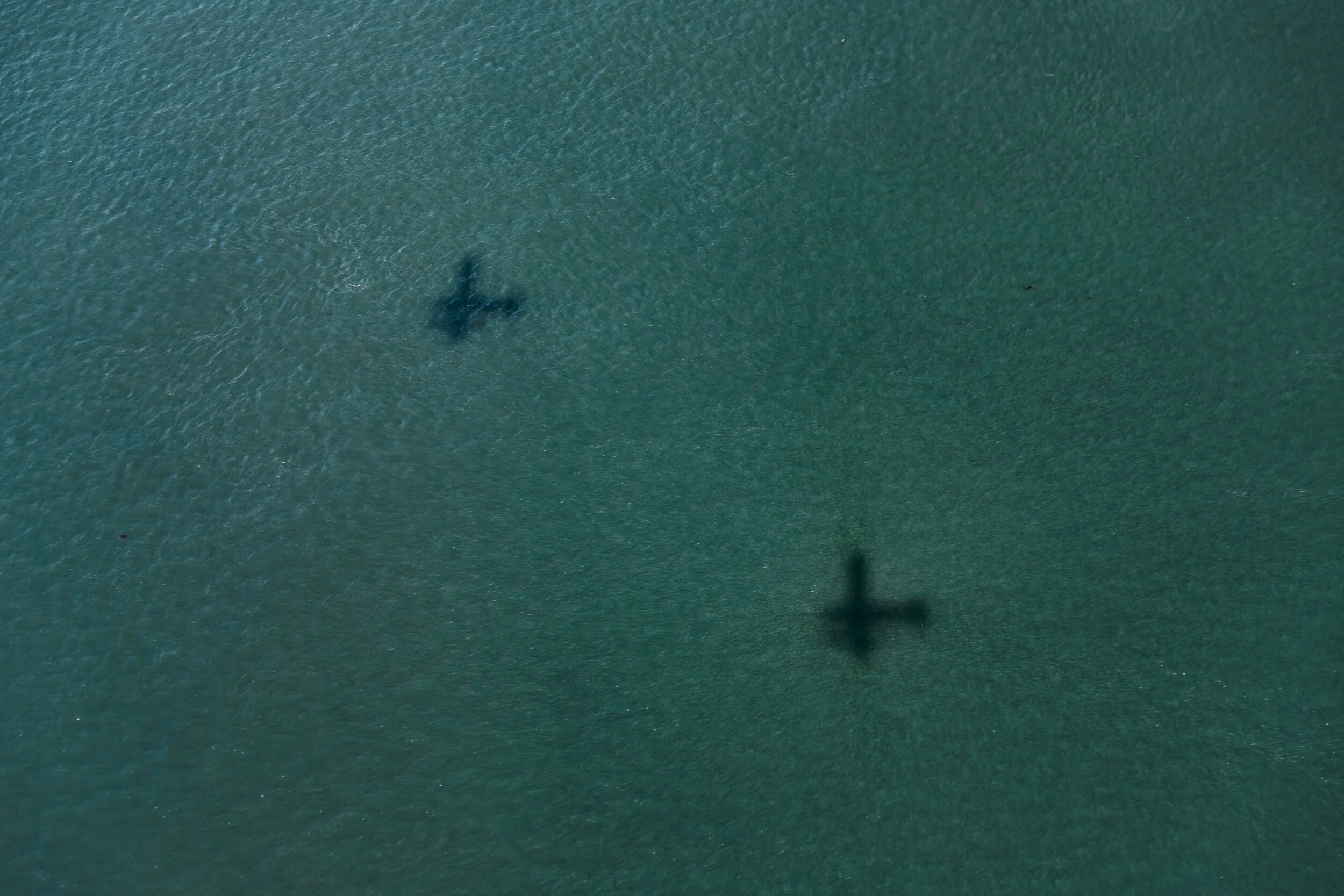 FH Seaplanes (11).jpg