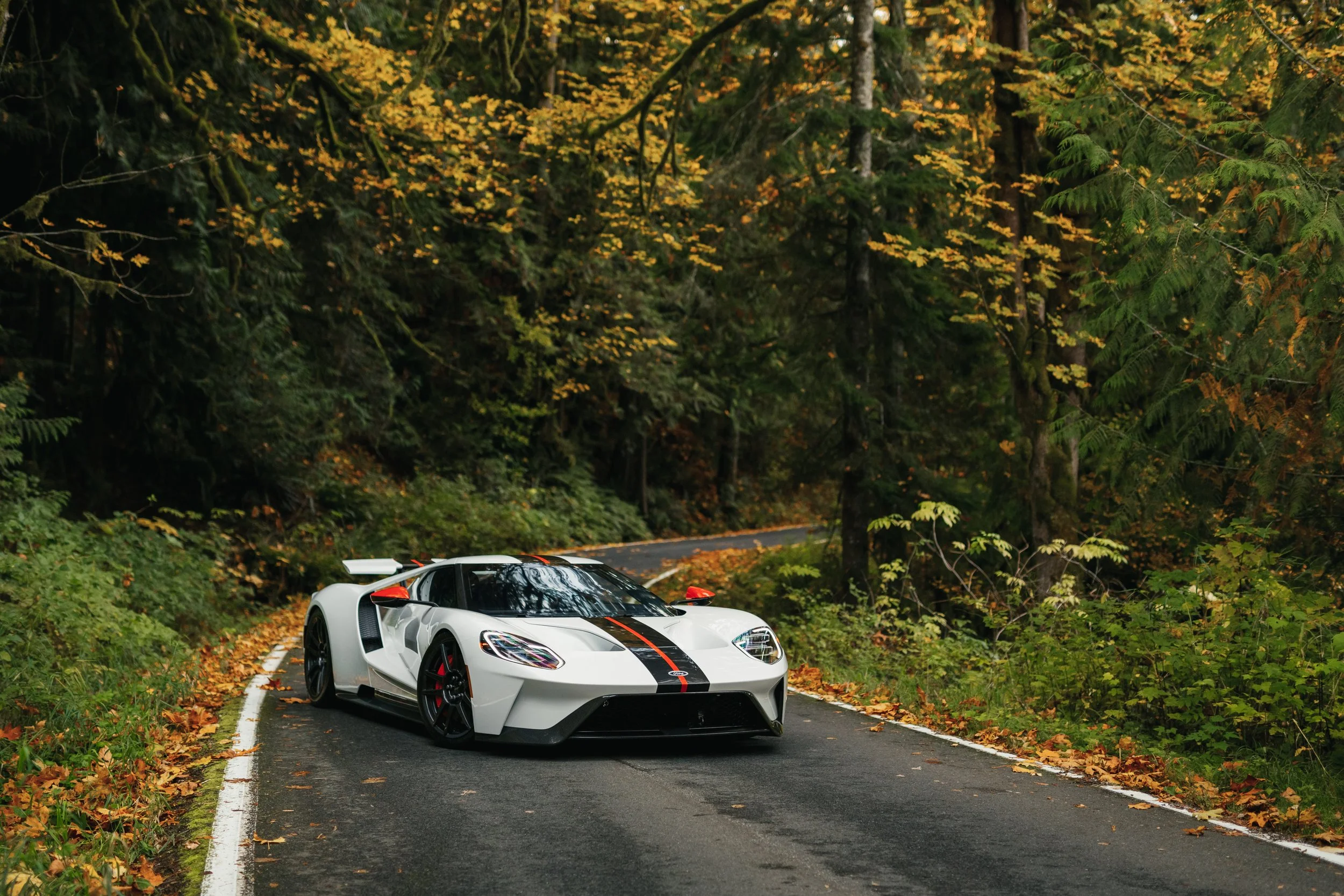 Ford GT (1).jpg