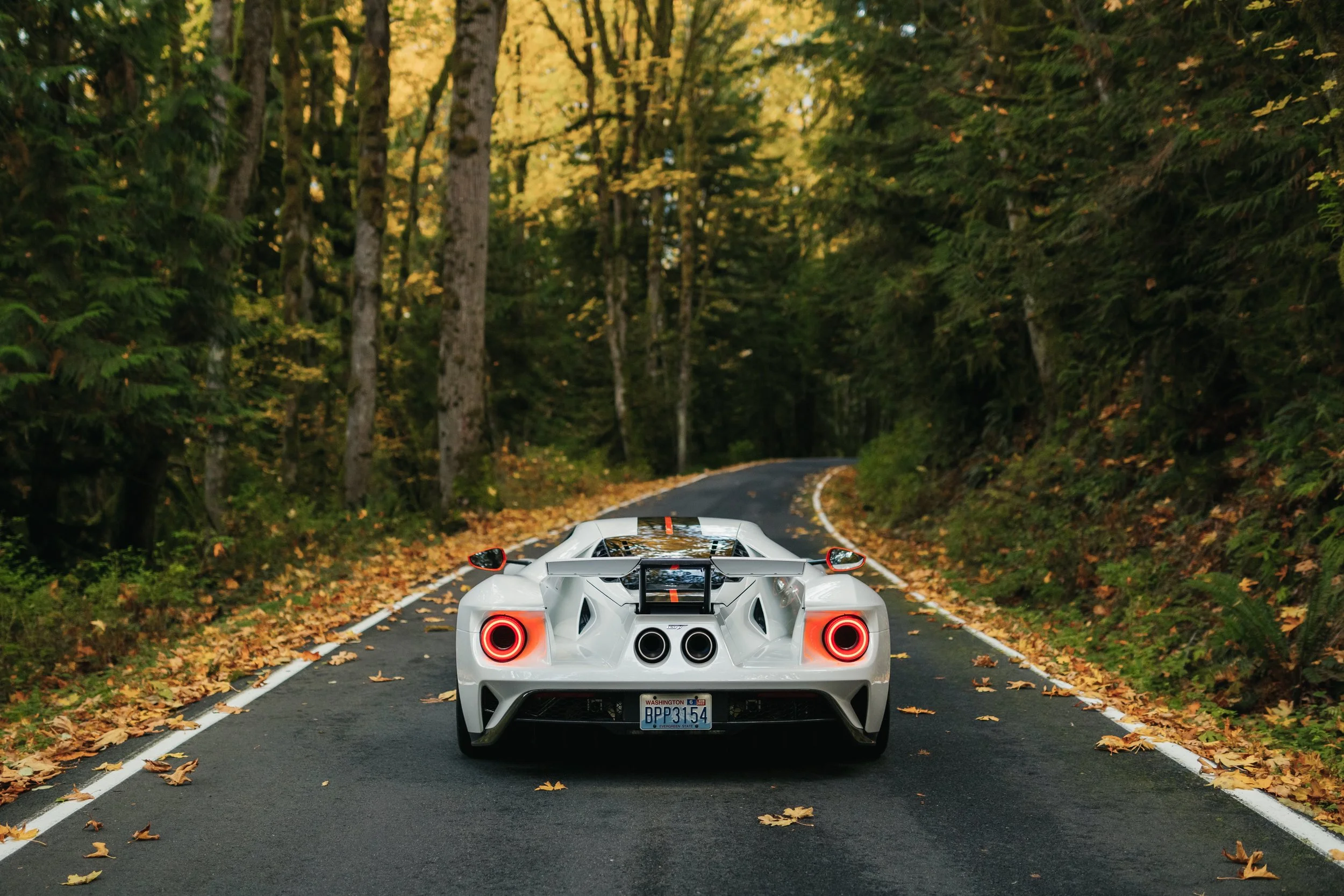 Ford GT (11).jpg
