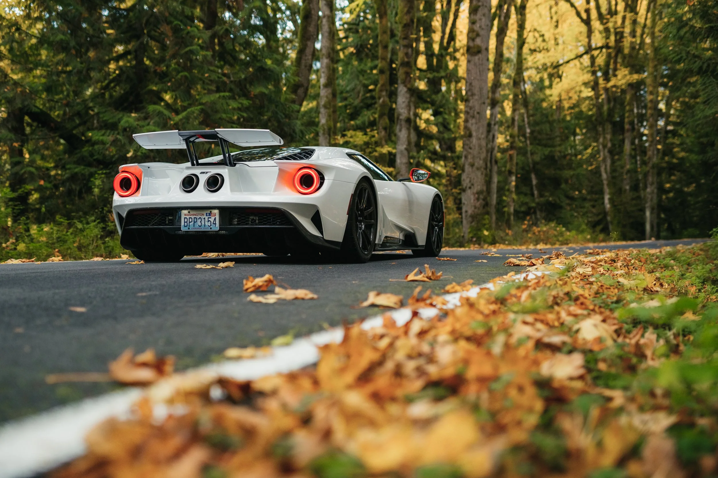 Ford GT (14).jpg