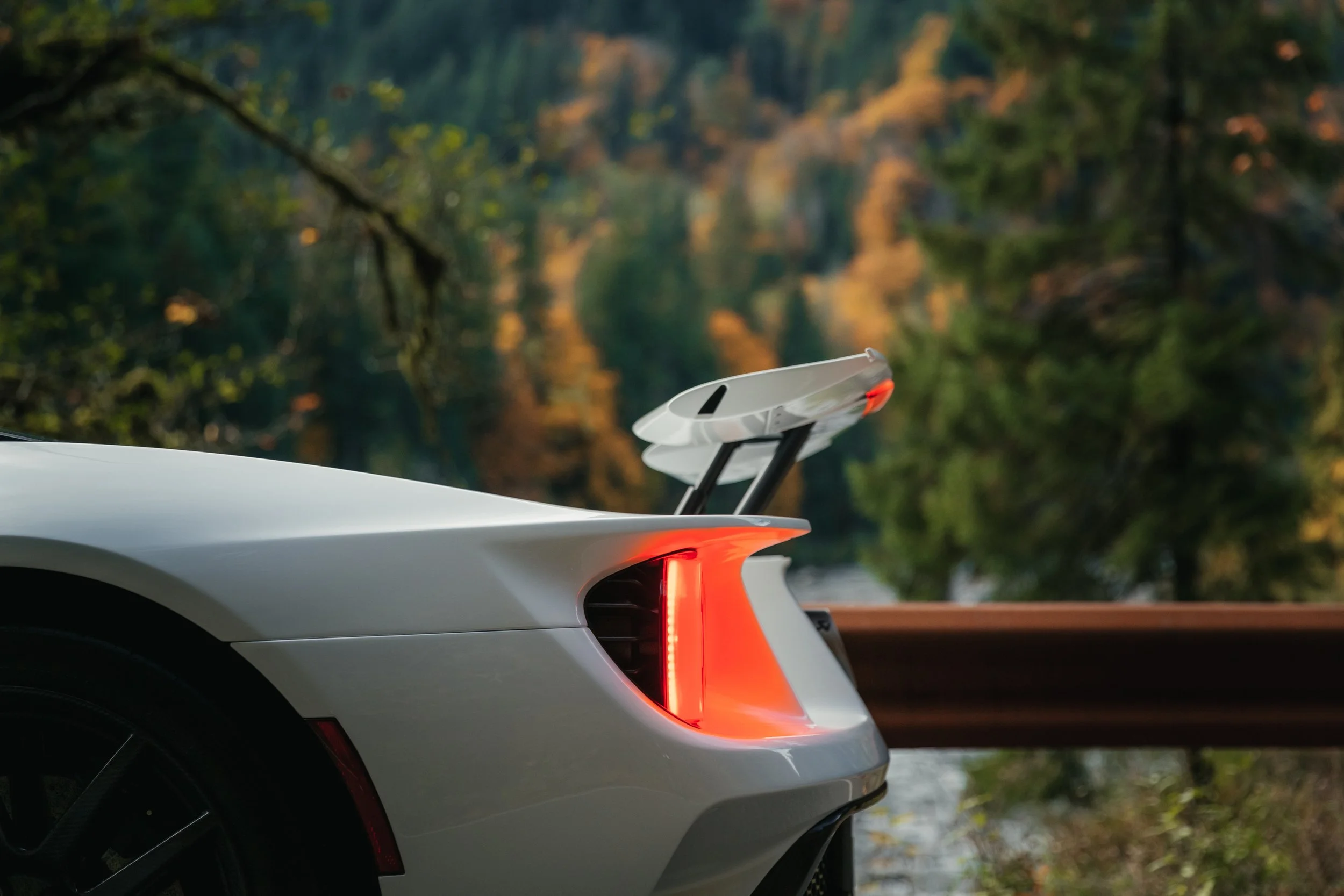 Ford GT (21).jpg