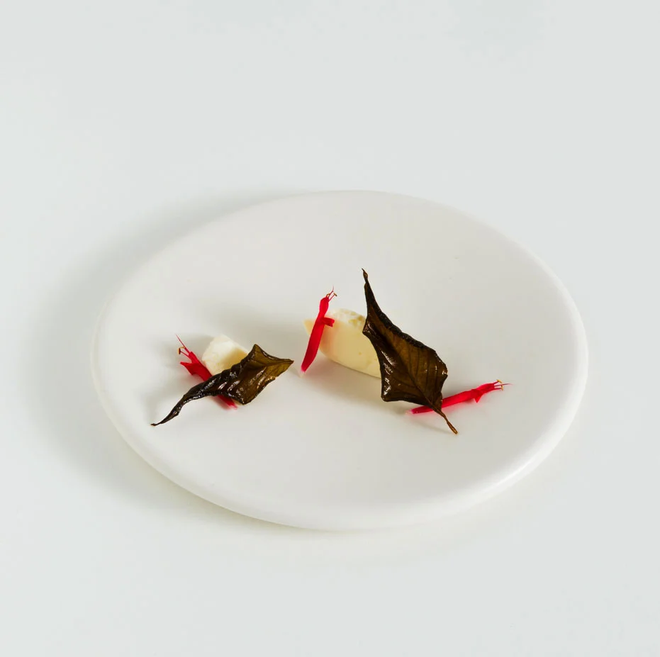 small-porcelain-plate-c-stoll-castagna-onehundredseconds.jpg