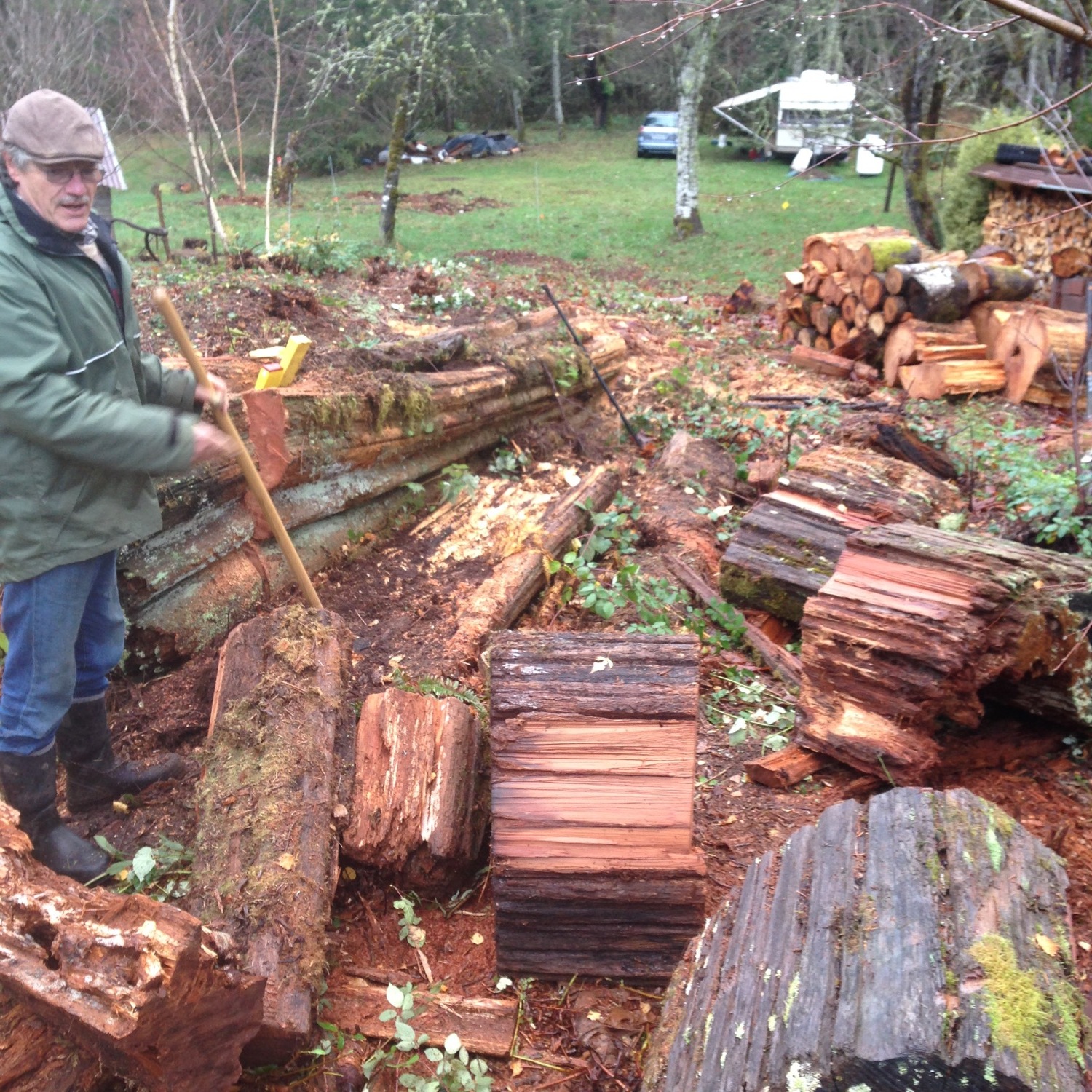 B '17 intro 1 found od cedar cut.jpg