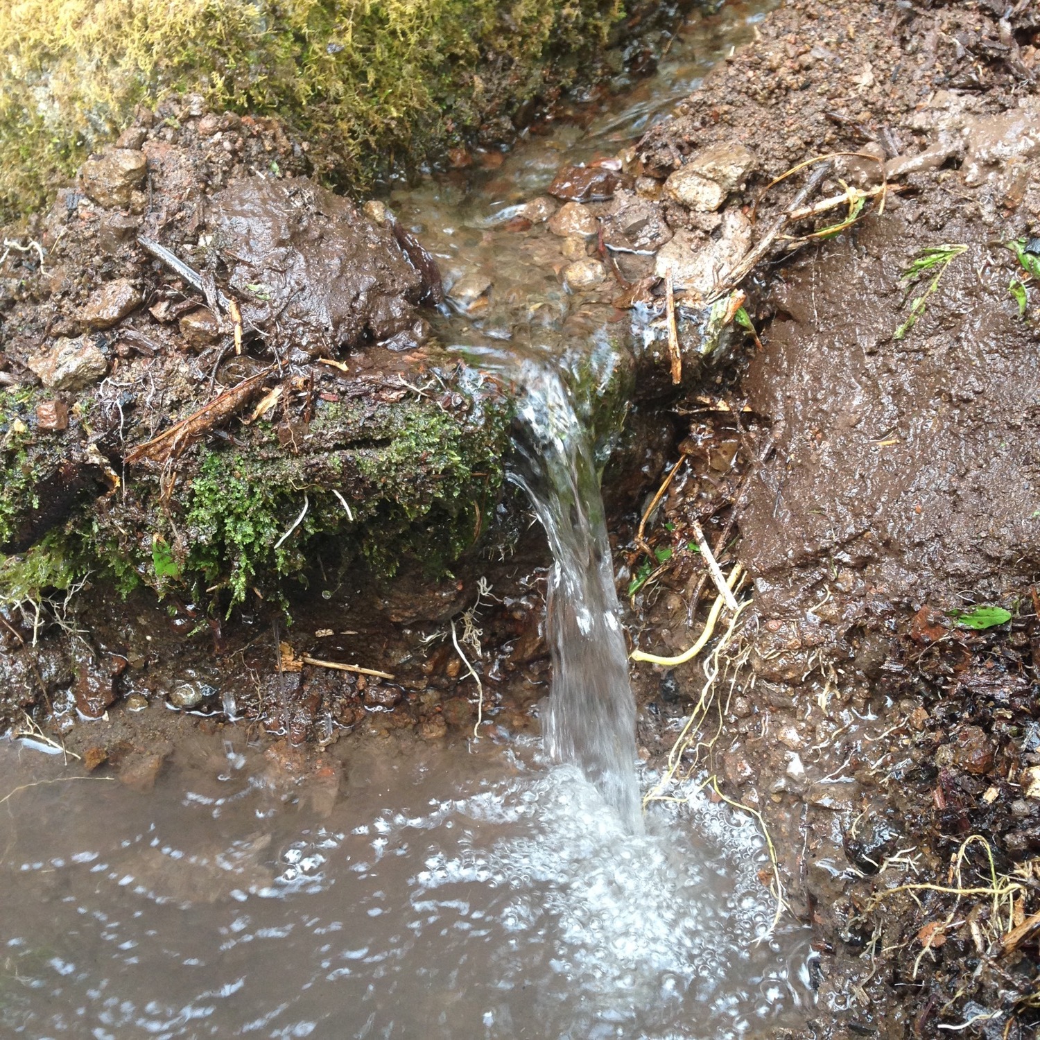 B '17 intro 1 spring water.jpg