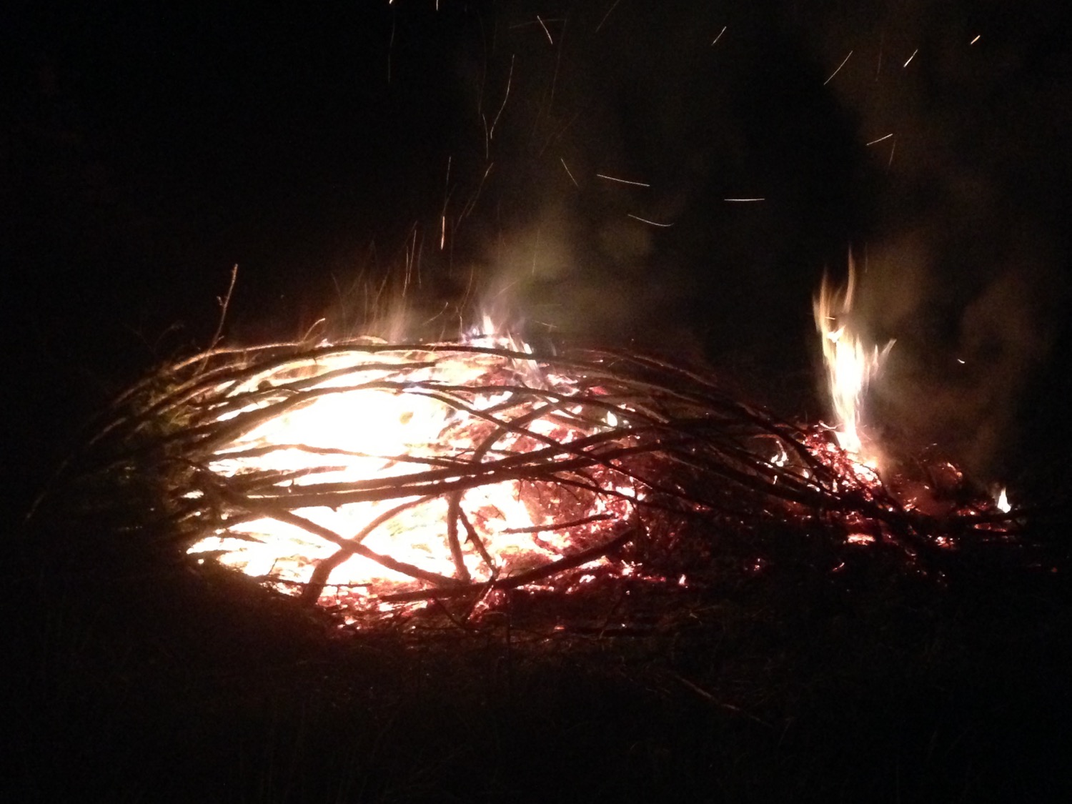 the_woods_2018_fire_clearing_branches.jpg