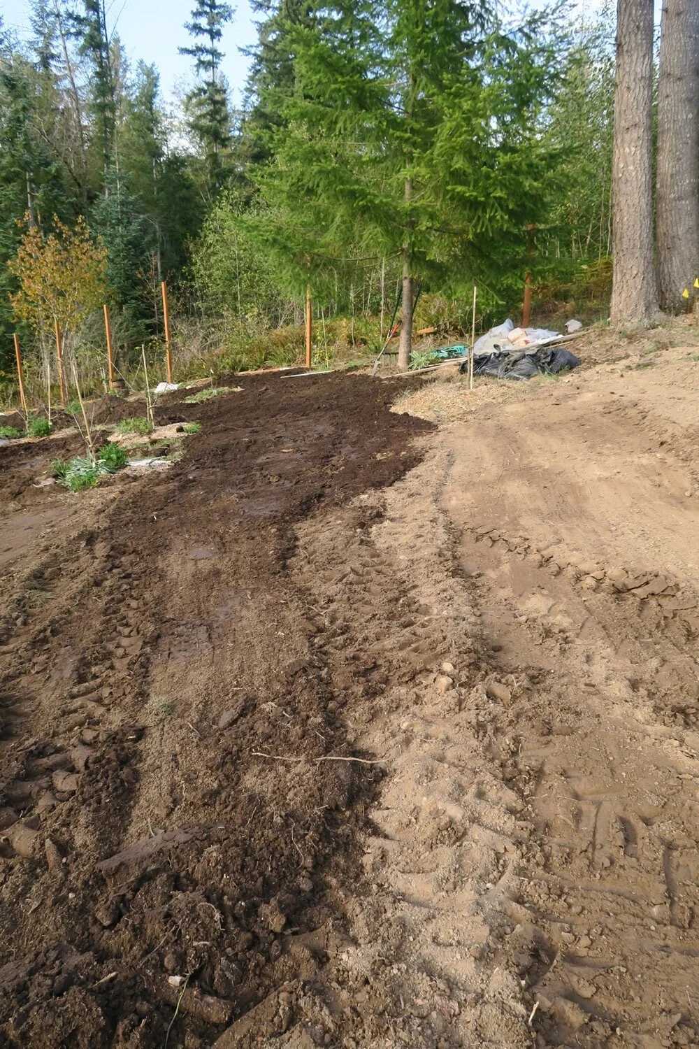 O compost oct 19 sisters.jpg