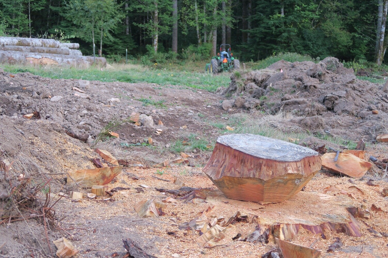 O soil sept 19 stump and sod copy.JPG