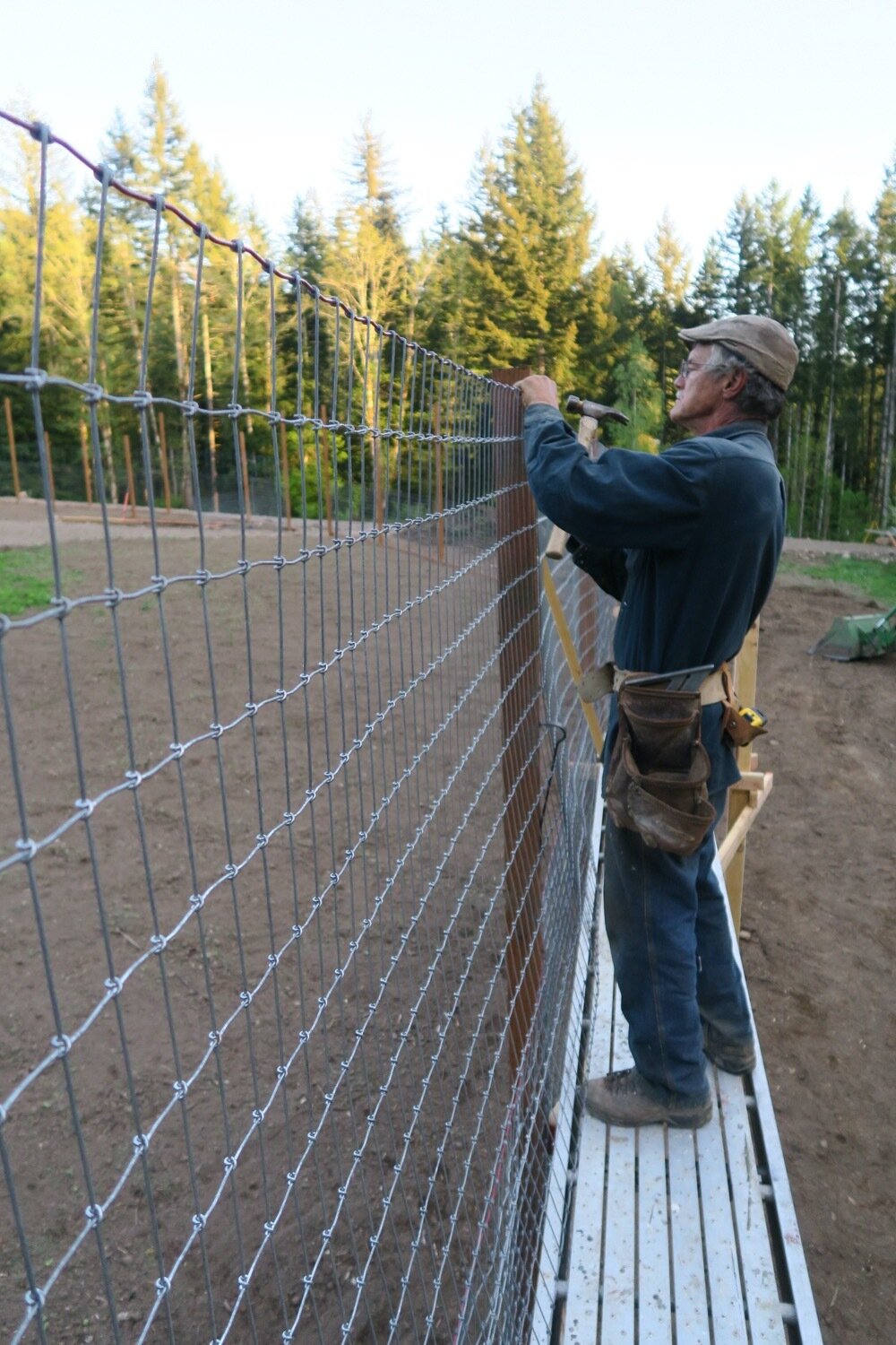 O fence 2021 scaffold 4.jpg