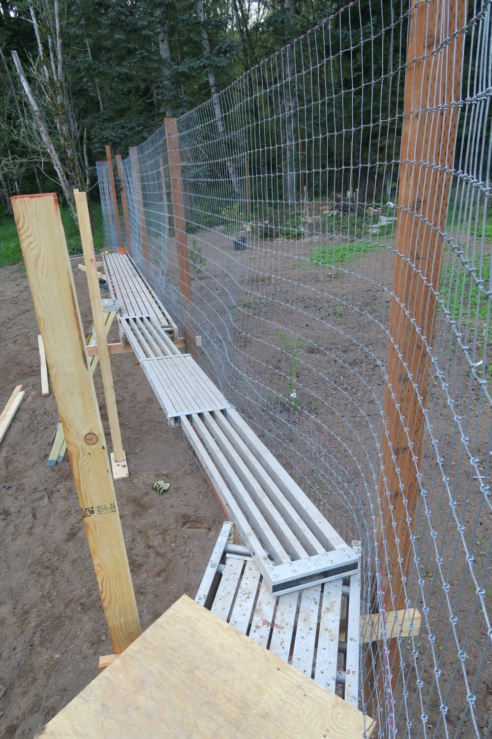 O fence 2021 scaffold 5.jpg