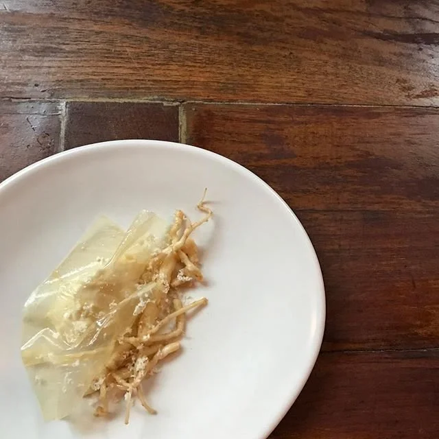 C Stoll porcelain plate JolieLaide 5.jpg