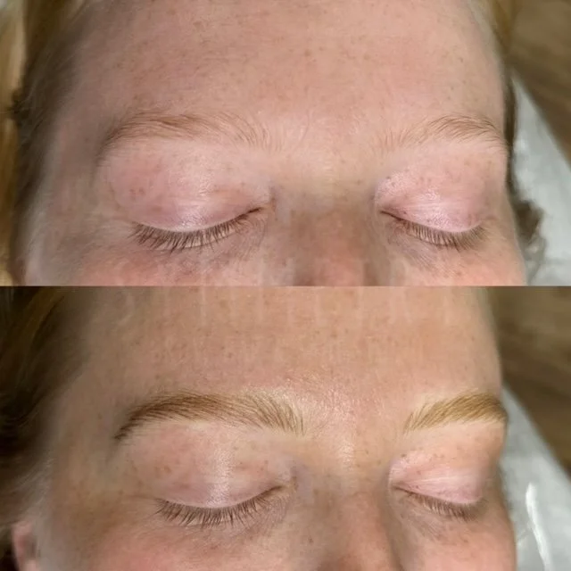 advanced artistry nano brows by nicola austin.JPG