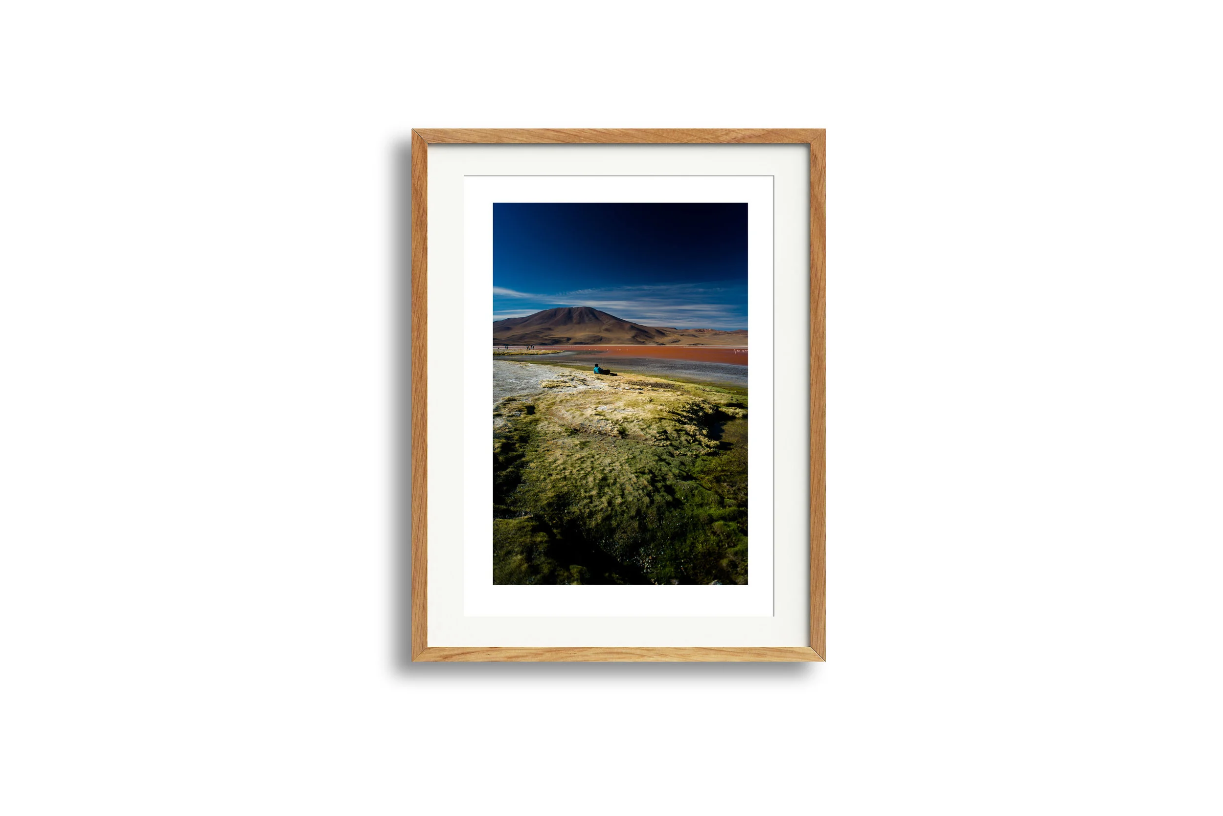 uyuni_oak.jpg