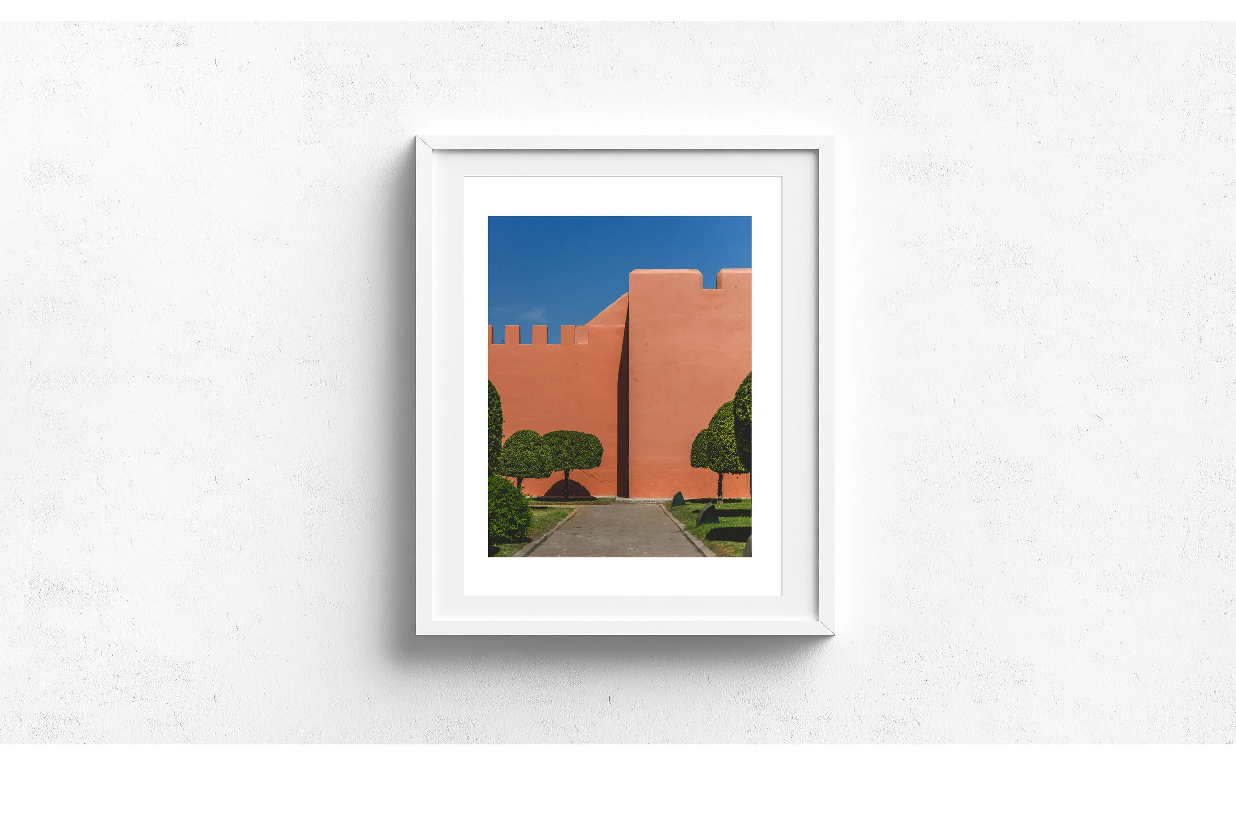 palm_wall_morocco_17x22_white_frame.jpg