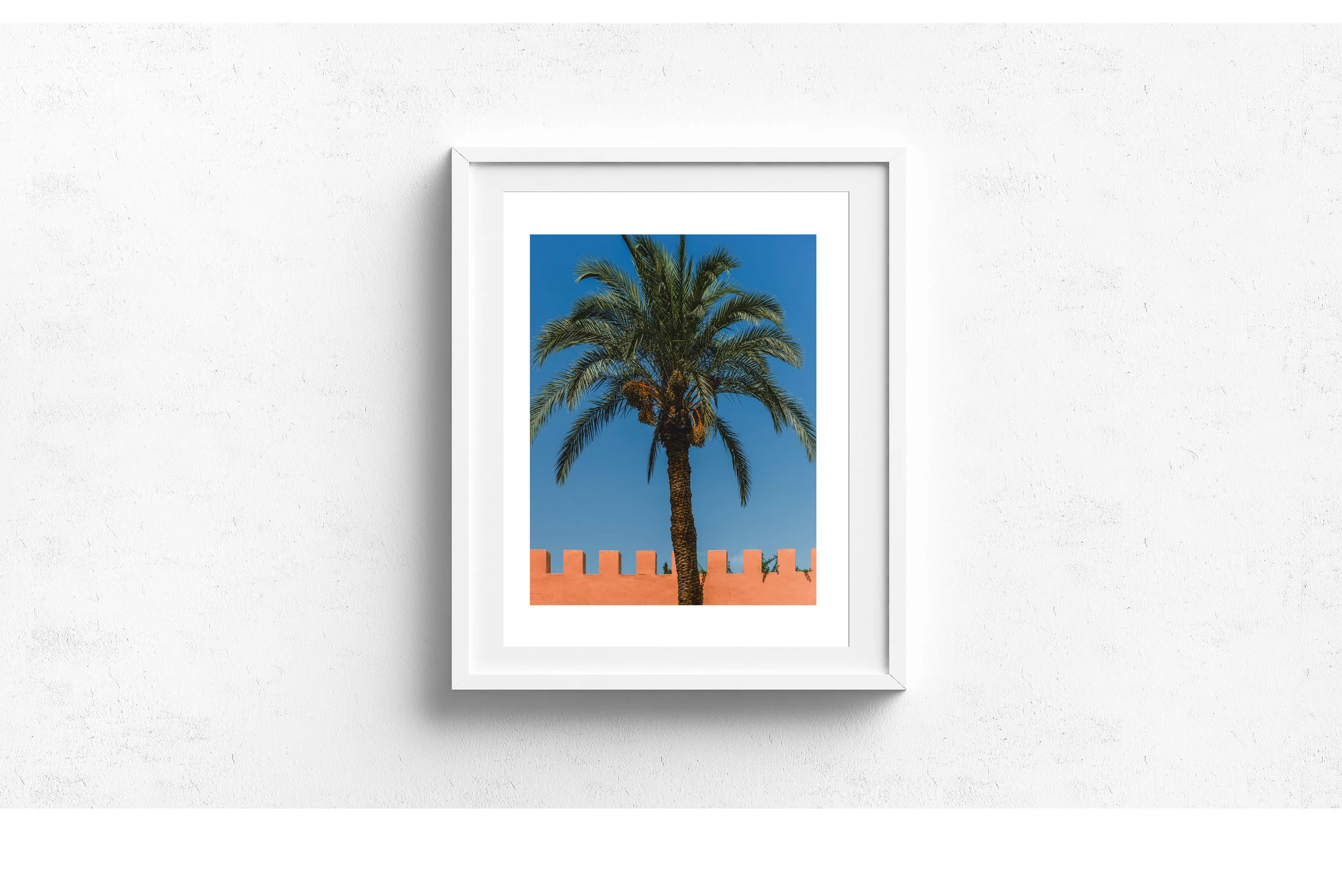 palm_morocco_17x22_white_frame.jpg