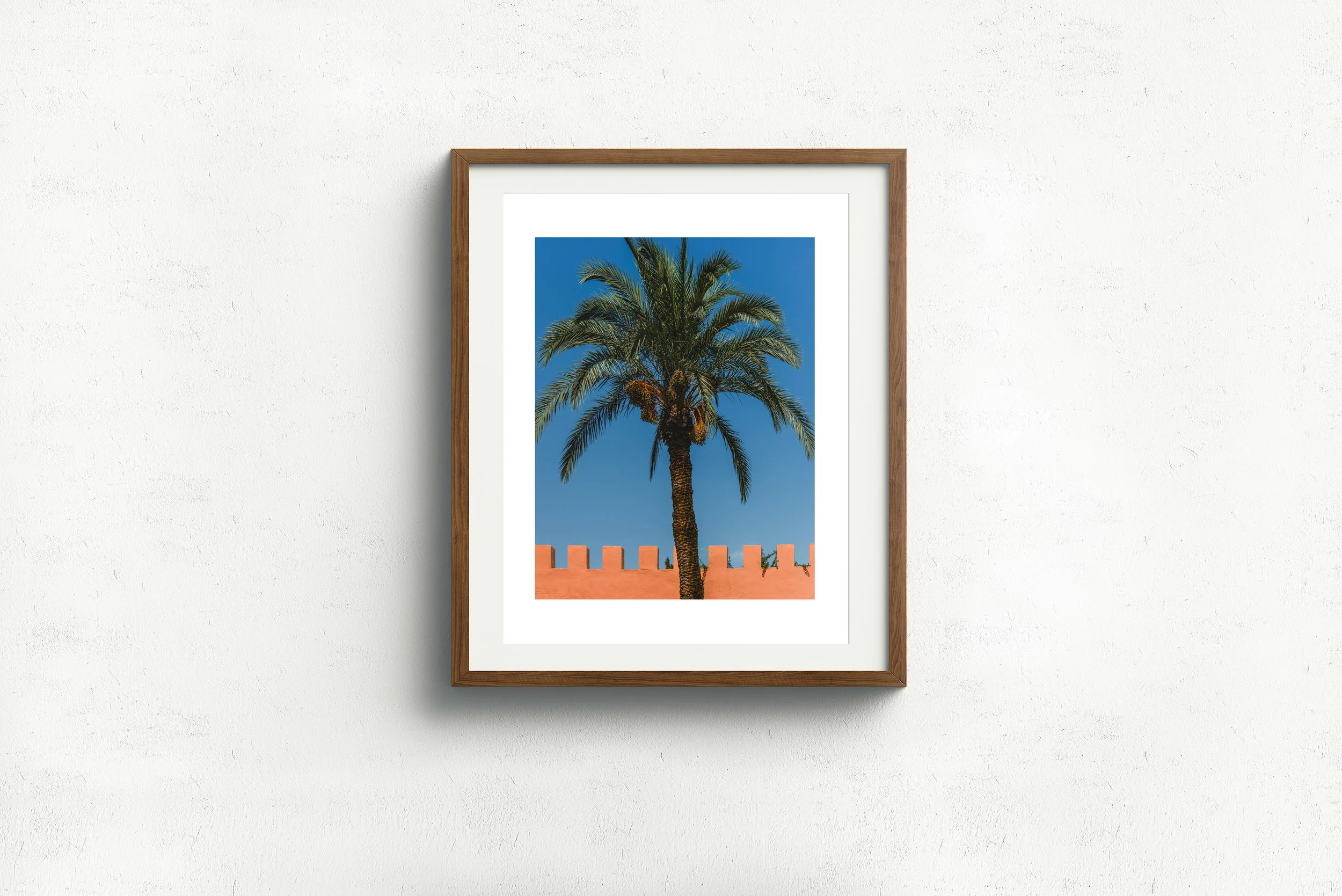 palm_morocco_17x22_walnut_frame.jpg