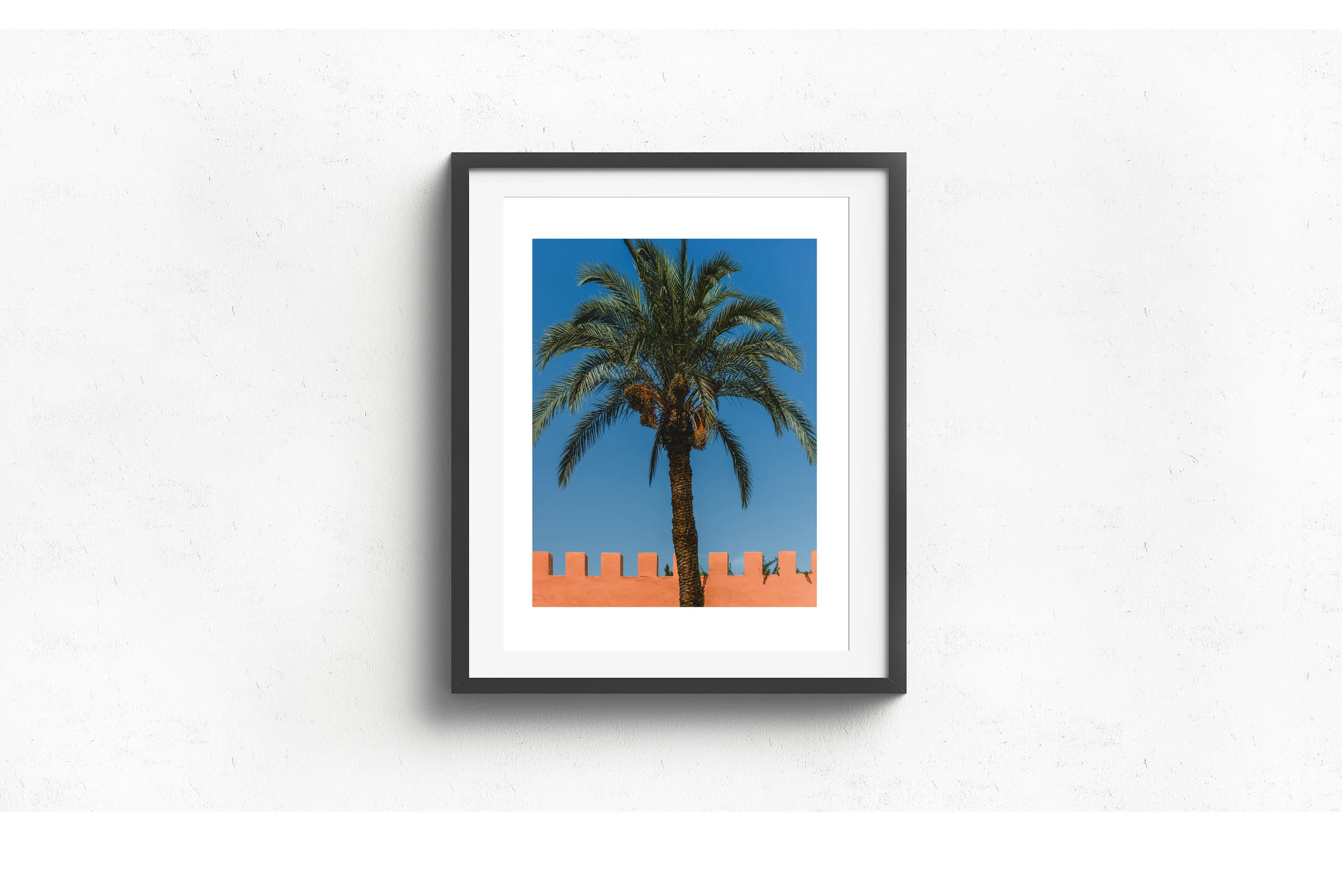 palm_morocco_17x22_black_frame.jpg