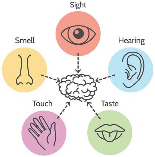 making-the-most-of-your-five-senses.jpg making-the-most-of-your-five-senses.jpg