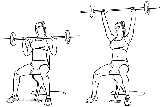 overhead _press.png