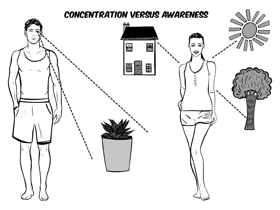 Concentration vs. Awareness Meditation: Understanding the Two Types