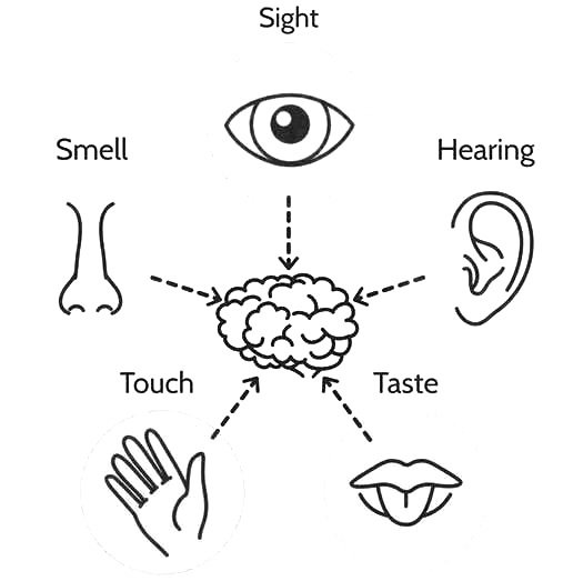 Practice Mindfulness By Engaging These 5 Senses