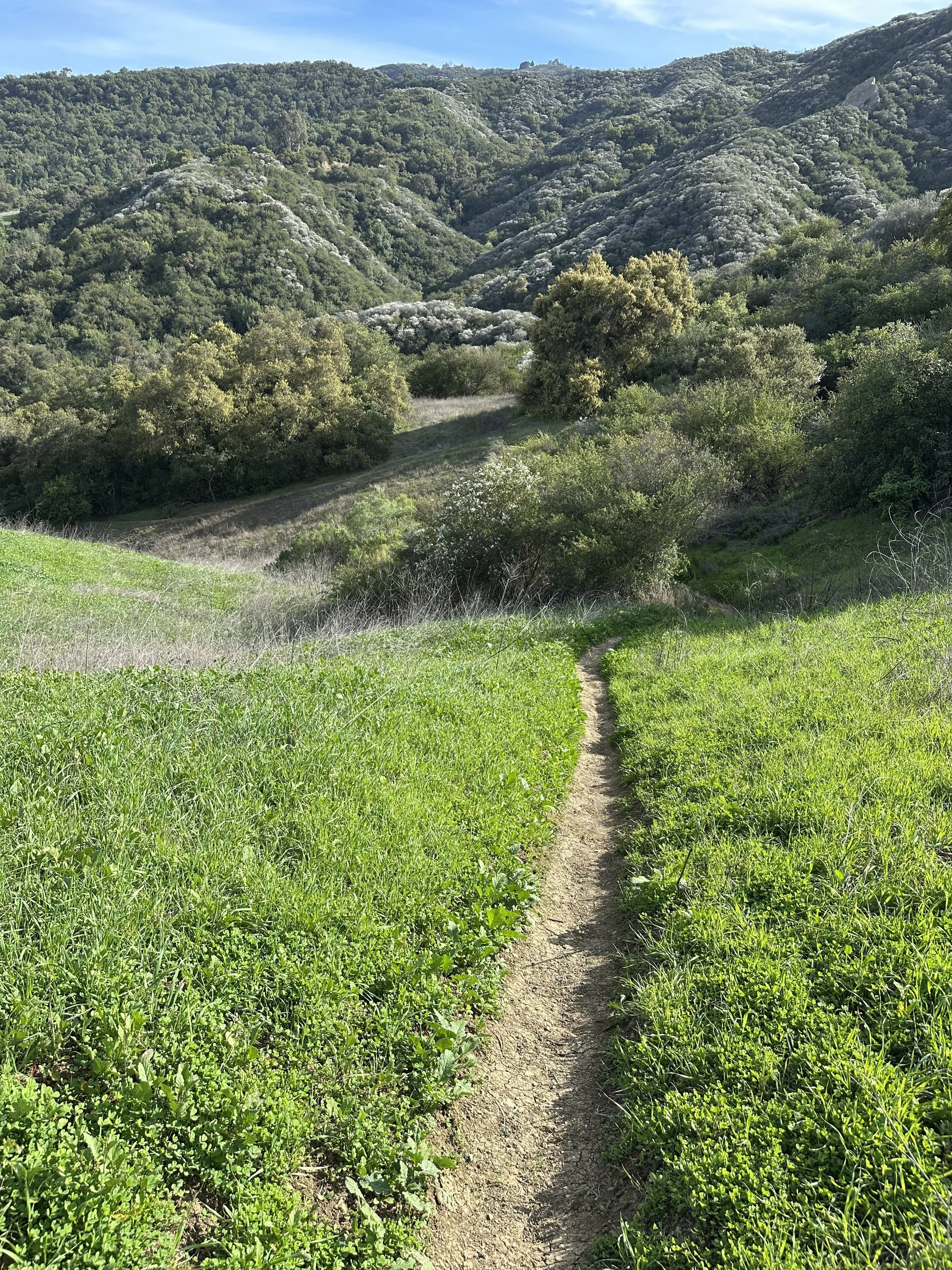 Stillness in the Canyon: A Meditative Hike Along the Backbone Trail