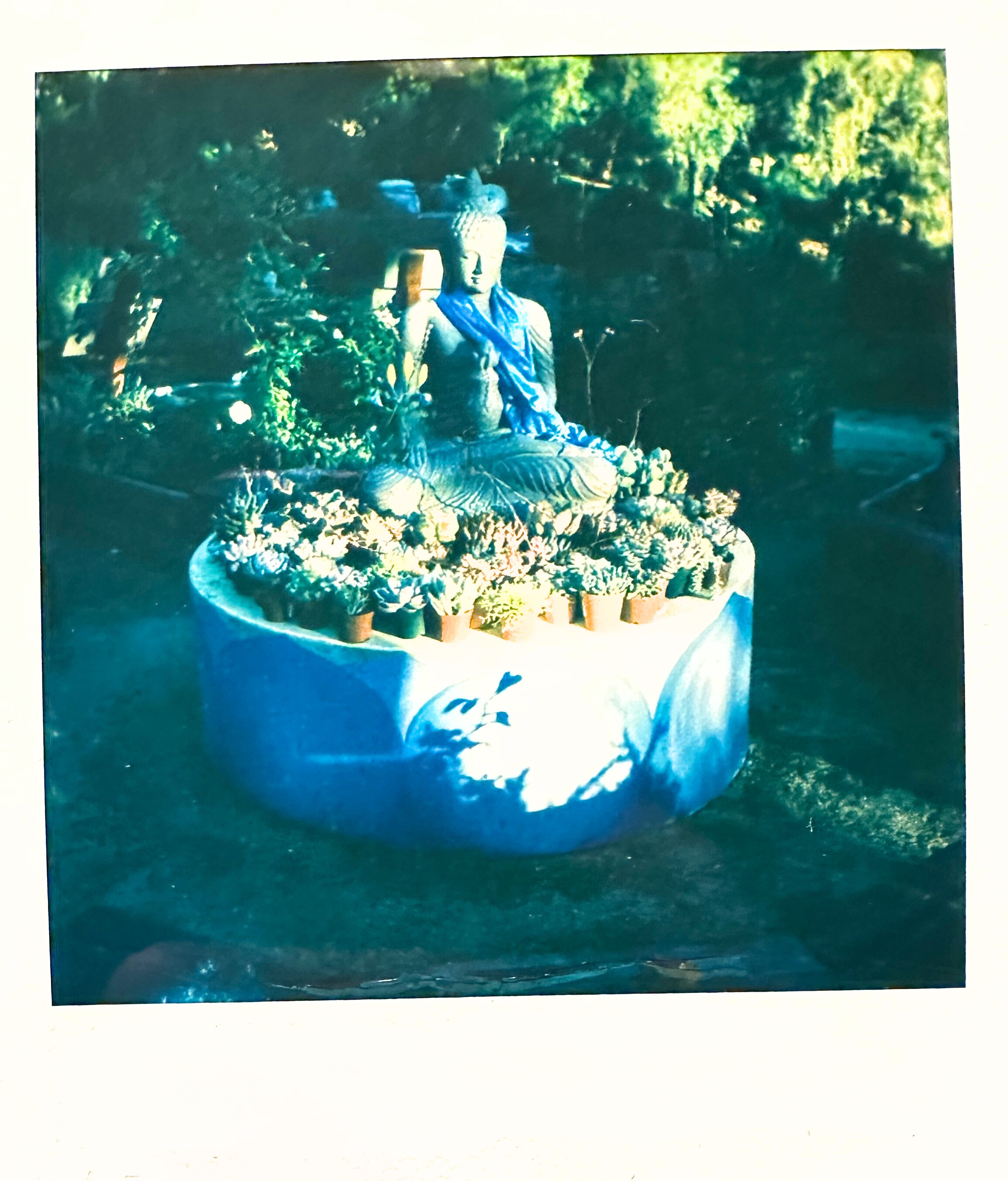 Pure Land Farms: An Afternoon of Tibetan Self-Healing