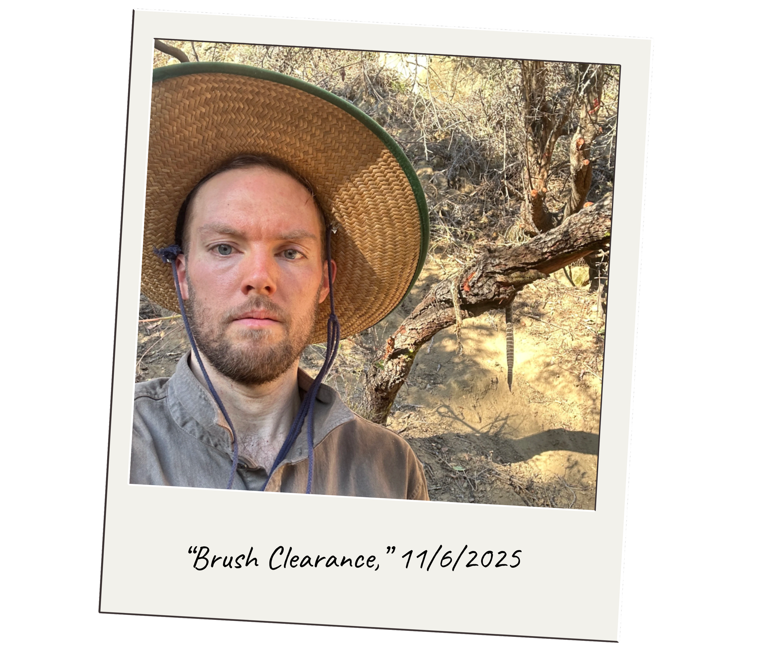 Clearing the Hillside, Clearing the Mind