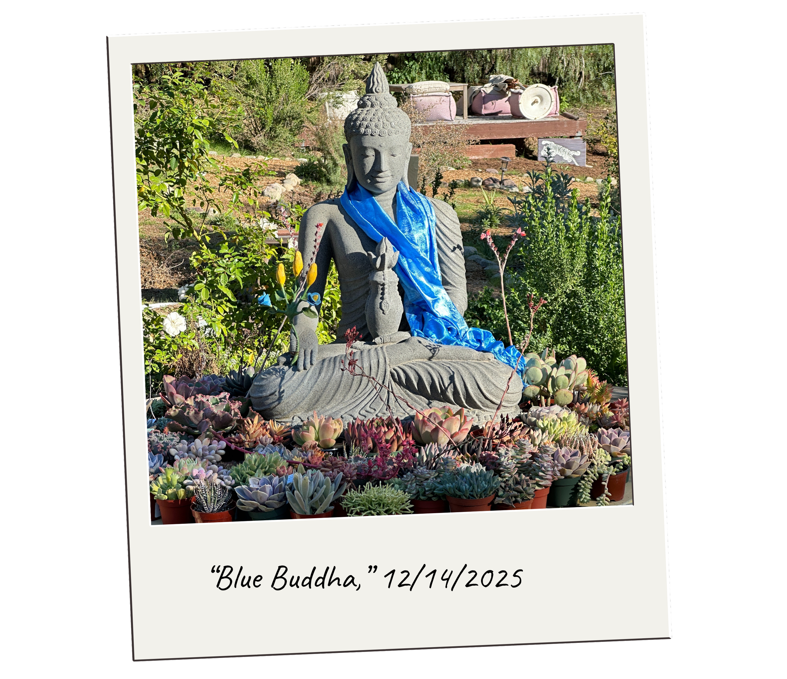 Pure Land Farms: An Afternoon of Tibetan Self-Healing