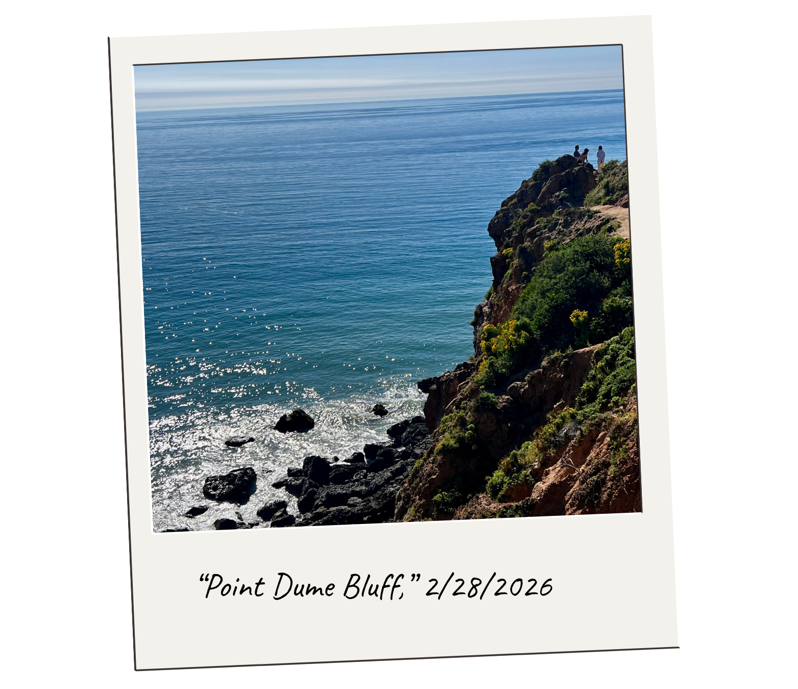 Too Early for the Bloom